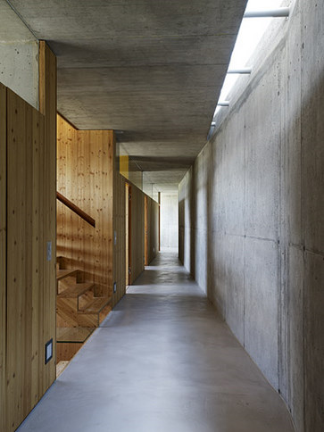 maison-schreiner-mollens-berclaz-torrent